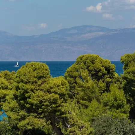 Lovely 2nd Floor Apartamento